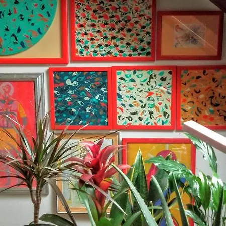 Nenad Jevtic Apartament
