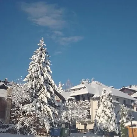 Nenad Jevtic Zlatibor