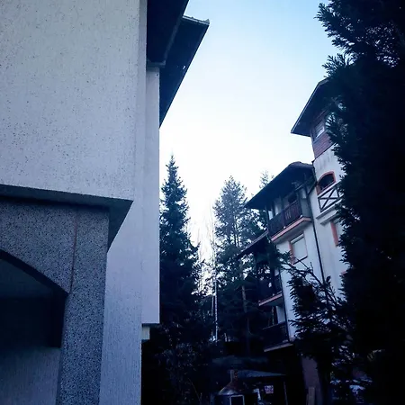 Nenad Jevtic Apartman Zlatibor